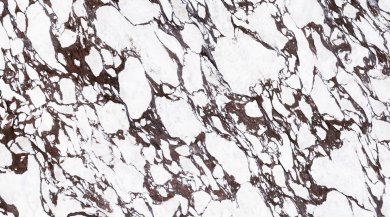 Ascale Calacatta Viola SM **